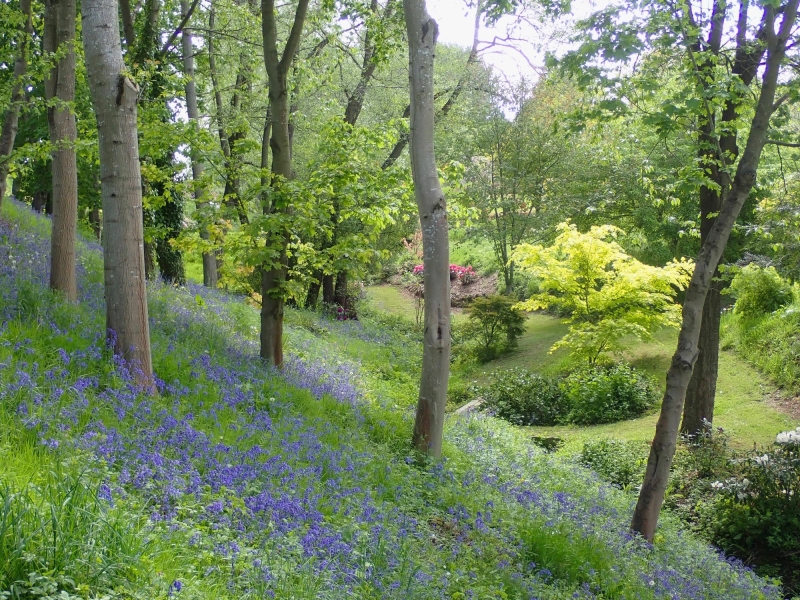 The Leasowes, Cound